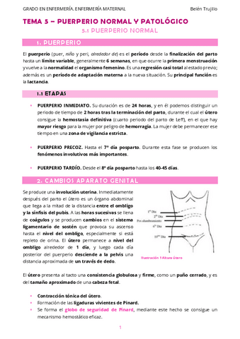 MATERNO-Tema5-Puerperio-1PuerperioNormal.pdf