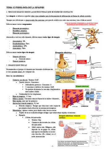 NEUROCIENCIAS-TEMA-12-FISIOLOGIA-DE-LA-SINAPSIS.pdf