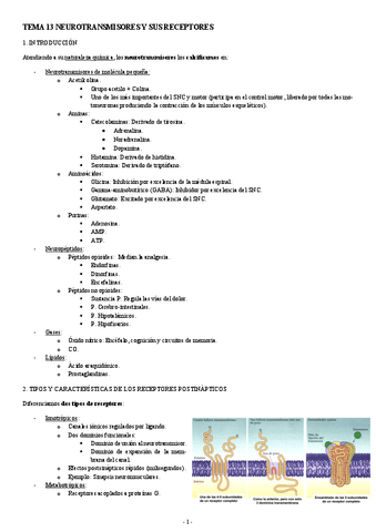 NEUROCIENCIAS-TEMA-13-NEUROTRANSMISORES-Y-SUS-RECEPTORES.pdf