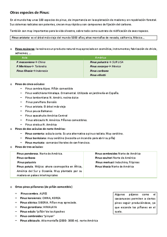 Tema-2-Pinus-por-el-mundo.pdf