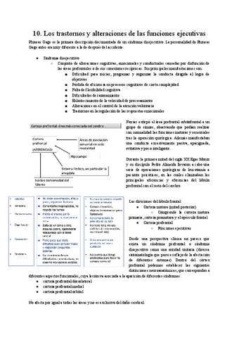 Tema-10.pdf