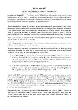 DERECHO DE LA UNIÓN EUROPEA.pdf