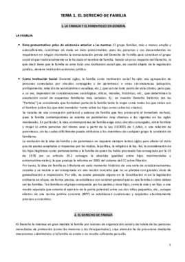 CIVIL IV FAMILIA.pdf