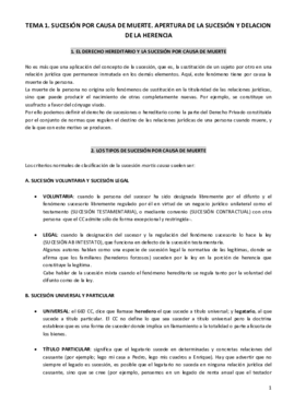 CIVIL IV SUCESIONES.pdf