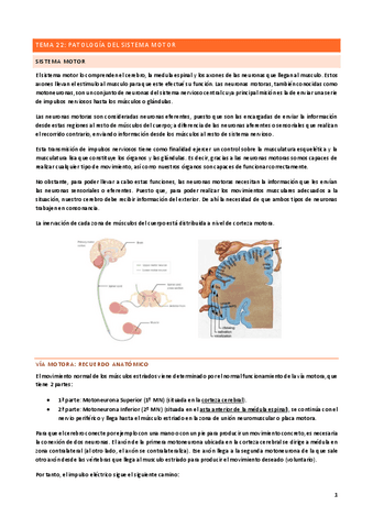 Tema-22.pdf
