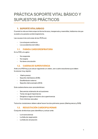 PRACTICA-RCP-CASIMIRO-23-24.pdf