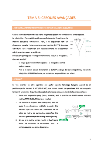 Tema-6-Cerques-avancades.pdf