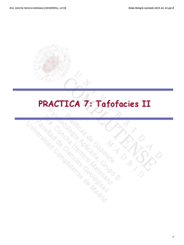 Tafofacies-2.pdf