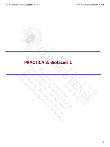 Biofacies-1.pdf