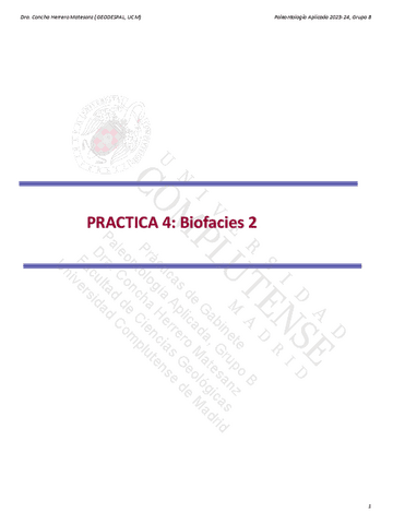 Biofacies-2.pdf