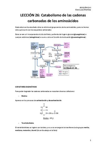 LECCION-26.-Metabolismo-de-las-cadenas-carbonadas-de-los-aminoacidos.pdf