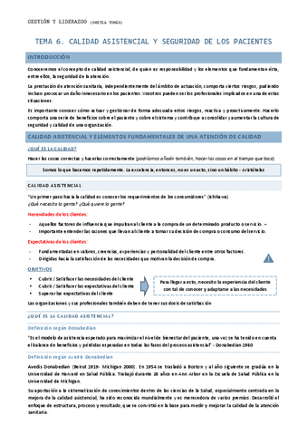 Tema-6.-Calidad-asistencial-y-seguridad-de-los-pacientes.pdf