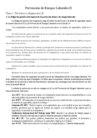 Apuntes-Prevencion-II.pdf