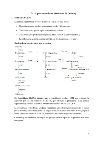 21.-Hipercortisolismo.-Sindrome-de-Cushing.pdf