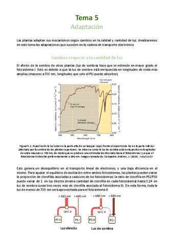 Tema-5-Adaptacion.pdf