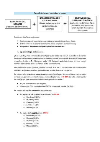 Tema-9.-Lesiones-y-control-de-la-carga.pdf