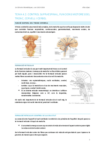 Tema-4.2.-Control-supraespinal-funcions-motores-del-tronc-cervell-i-cerbel.pdf
