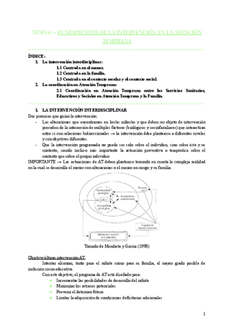 TEMA-6-FUNDAMENTOS-DE-LA-INTERVENCION-EN-LA-ATENCION-TEMPRANA.pdf