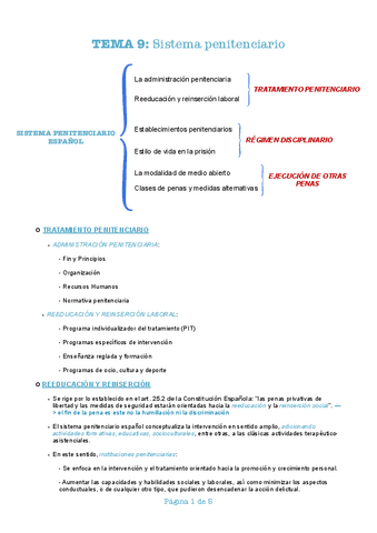 Tema-9-pdf.pdf