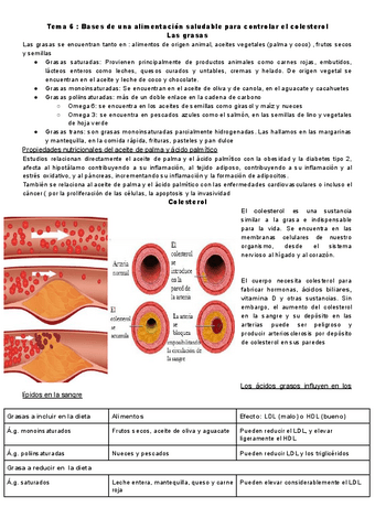 Tema-6-colesterol.pdf