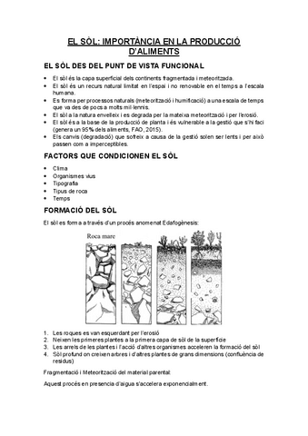 Tema-2-Propietats-del-sol.pdf