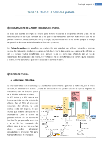 Tema 11. Etileno.pdf
