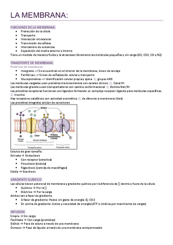 Fisiologia-entero-en-40-paginas.pdf