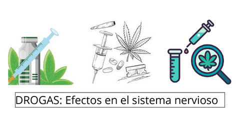 DROGAS-Efectos-en-el-sistema-nervioso.pdf