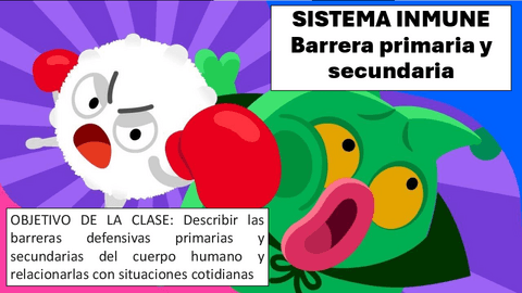 BARRERA-PRIMARIA-Y-SECUNDARIA-ESTUDIANTES.pdf