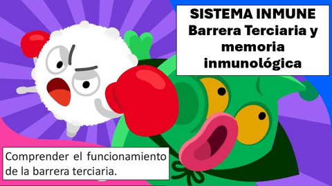 BARRERA-TERCIARIA-ESTUDIANTES-2024.pdf