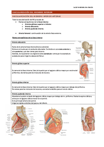 Vascularizacion e Inervación-MMII.pdf