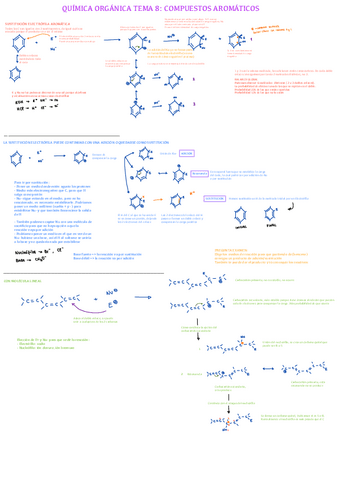 Teoria-Quimica-Organica-Tema-8-parte-1.pdf