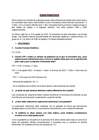CASO-PRACTICO.pdf