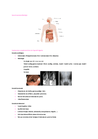 DIGESTIOLOGIA-Tema-1.-Patologia-esofagica.pdf