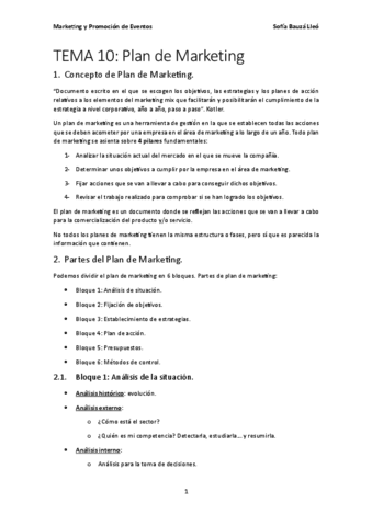 TEMA-10-Plan-de-Marketing.pdf