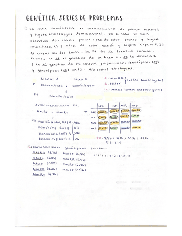 SERIE-DE-PROBLEMAS..pdf