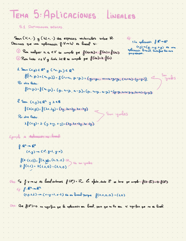 5.-Aplicaciones-lienales.pdf