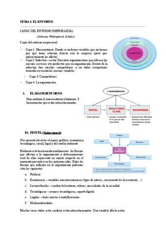 TEMA-3.pdf