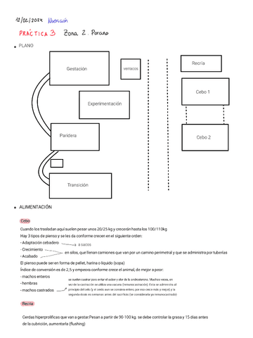 Practica-3.-Porcino.pdf