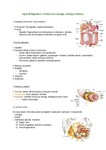 Aparell digestiu I-Cavitat oral, faringe, esofag i estomac.pdf