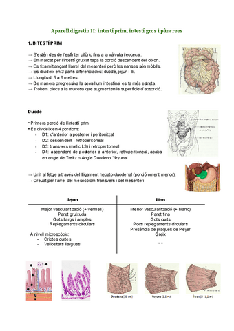 Aparell digestiu II-intestí prim, intestí gros, pàncrees.pdf
