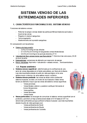 SISTEMA-VENOSO-DE-LAS-EXTREMIDADES-INFERIORES.pdf