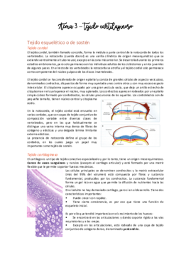 Tema 3 - Tejido cartilaginoso.pdf