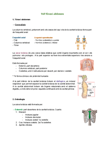 T18-Torax-i-abdomen.pdf