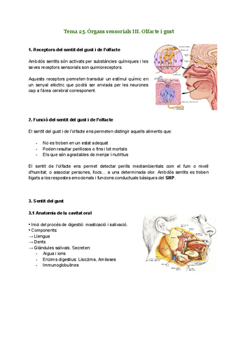 T25-Organs-sensorials-III.-Olfacte-i-gust.pdf