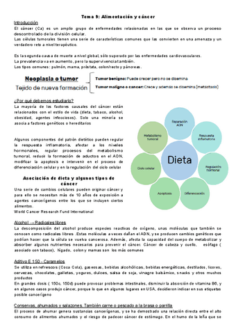 Tema-9-saludable.pdf