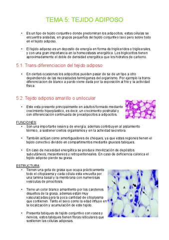Tema-5-Tejido-adiposo.pdf