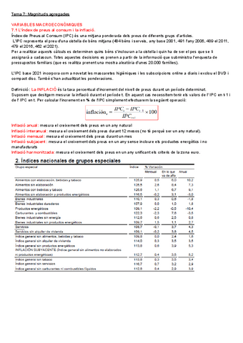 Tema-7.-Magnituds-agregades.pdf