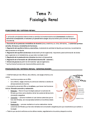 Tema-7-Fisiologia-Renal.pdf