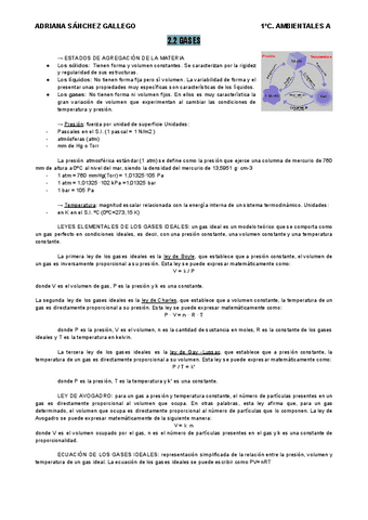 2.2-Gases.pdf
